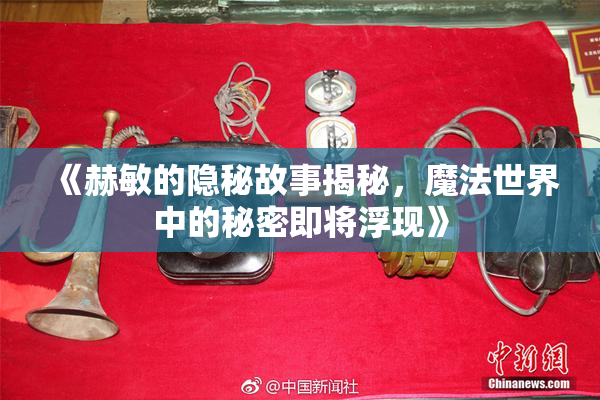 《赫敏的隐秘故事揭秘，魔法世界中的秘密即将浮现》