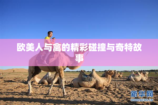 欧美人与禽的精彩碰撞与奇特故事
