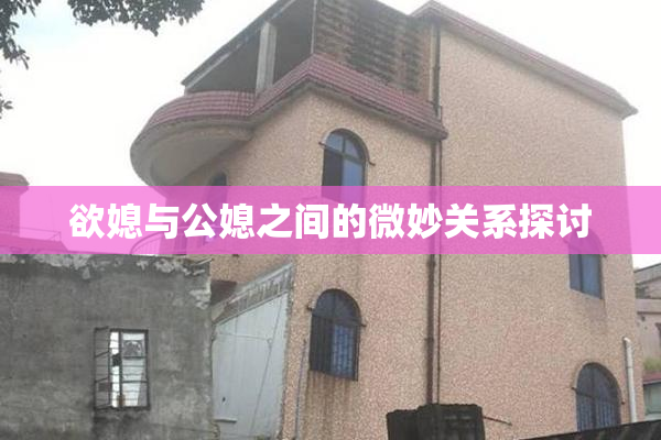 欲媳与公媳之间的微妙关系探讨