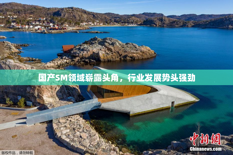 国产SM领域崭露头角，行业发展势头强劲