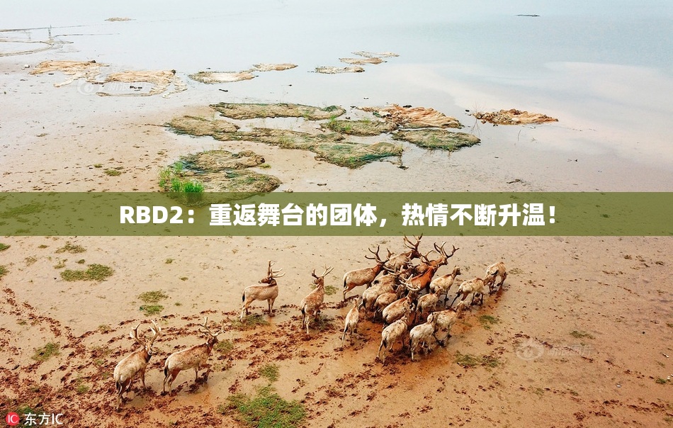 RBD2：重返舞台的团体，热情不断升温！