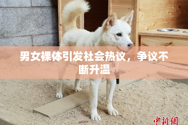 男女裸体引发社会热议，争议不断升温