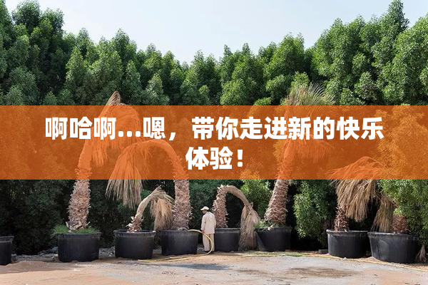 啊哈啊…嗯，带你走进新的快乐体验！