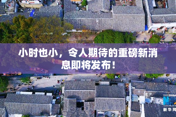 小时也小，令人期待的重磅新消息即将发布！