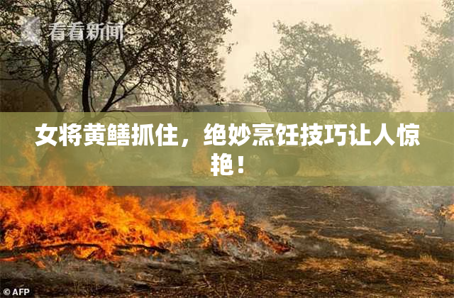 女将黄鳝抓住，绝妙烹饪技巧让人惊艳！