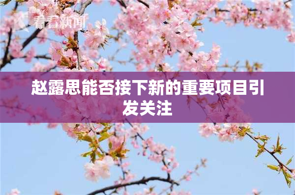 赵露思能否接下新的重要项目引发关注