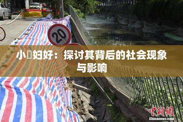小婬妇好：探讨其背后的社会现象与影响