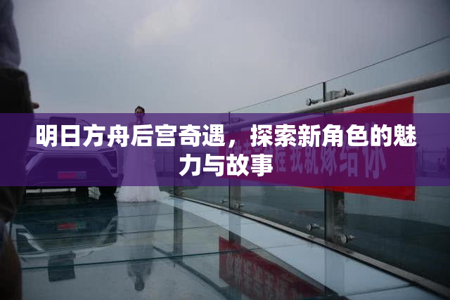 明日方舟后宫奇遇，探索新角色的魅力与故事