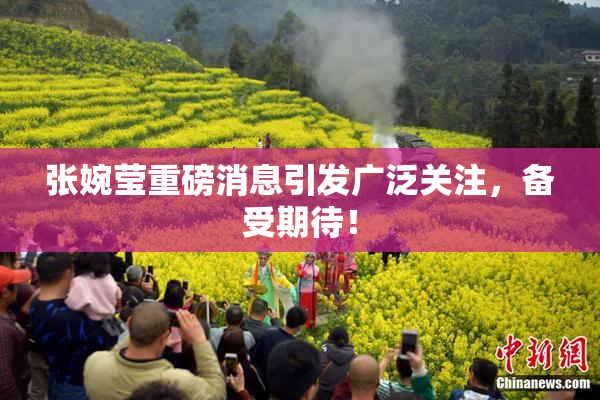 张婉莹重磅消息引发广泛关注，备受期待！