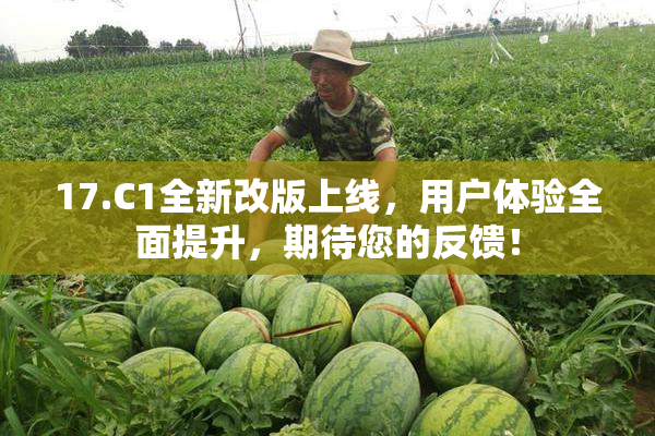 17.C1全新改版上线，用户体验全面提升，期待您的反馈！