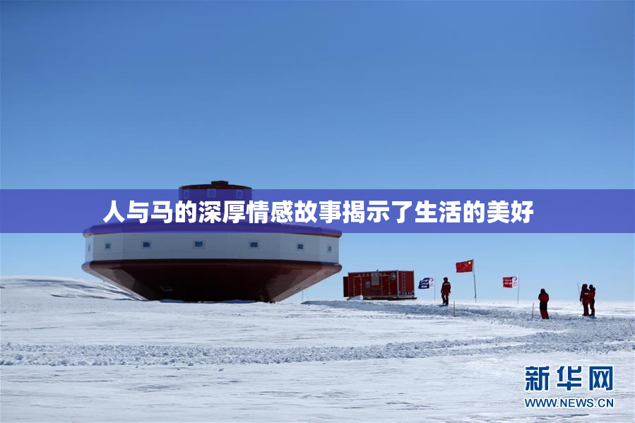 人与马的深厚情感故事揭示了生活的美好