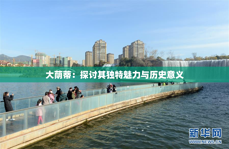 大荫蒂：探讨其独特魅力与历史意义