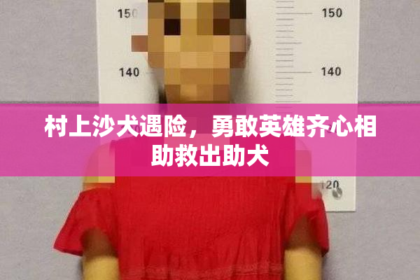 村上沙犬遇险，勇敢英雄齐心相助救出助犬