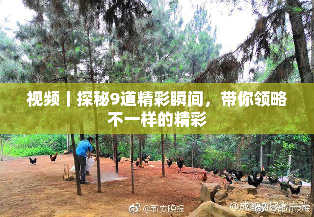 视频丨探秘9道精彩瞬间，带你领略不一样的精彩