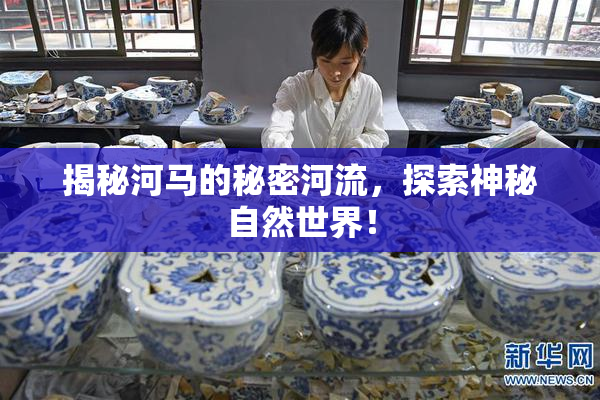 揭秘河马的秘密河流，探索神秘自然世界！