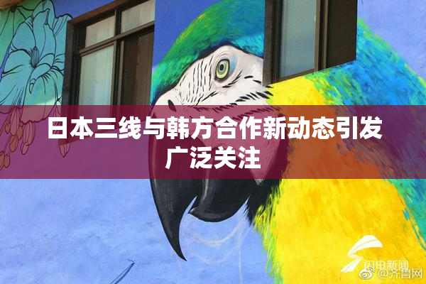 日本三线与韩方合作新动态引发广泛关注