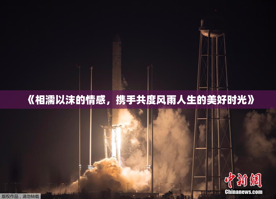 《相濡以沫的情感，携手共度风雨人生的美好时光》