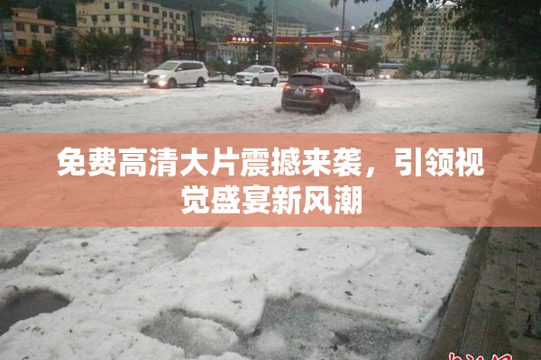 免费高清大片震撼来袭，引领视觉盛宴新风潮