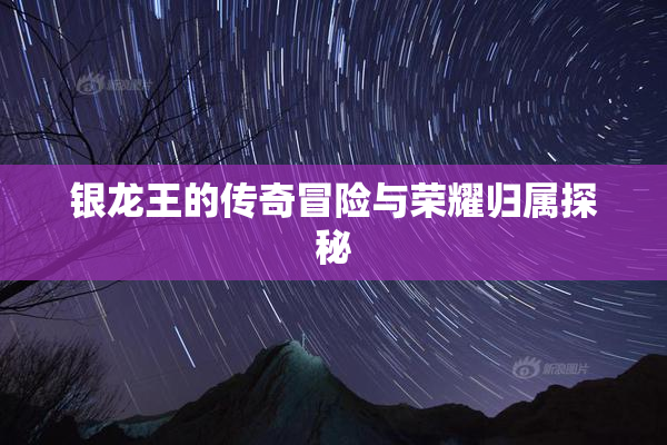 银龙王的传奇冒险与荣耀归属探秘