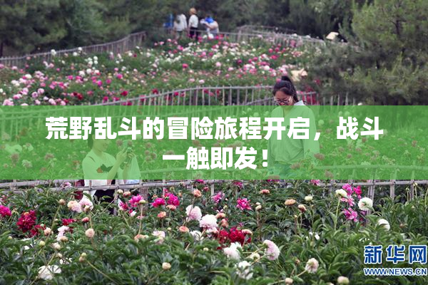 荒野乱斗的冒险旅程开启，战斗一触即发！