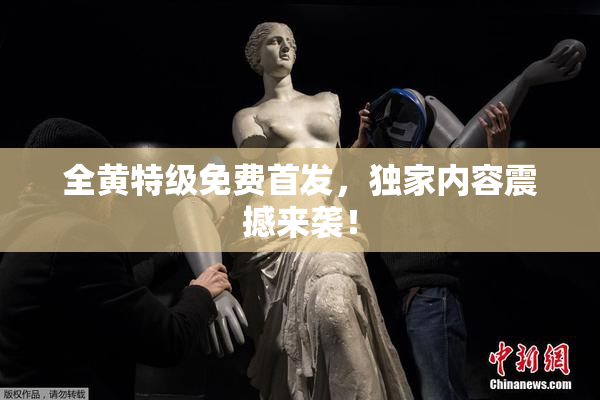 全黄特级免费首发，独家内容震撼来袭！