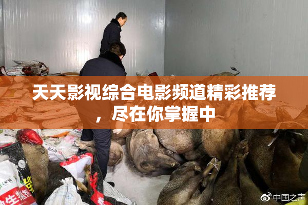 天天影视综合电影频道精彩推荐，尽在你掌握中