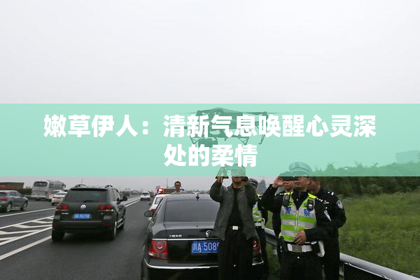 嫩草伊人：清新气息唤醒心灵深处的柔情