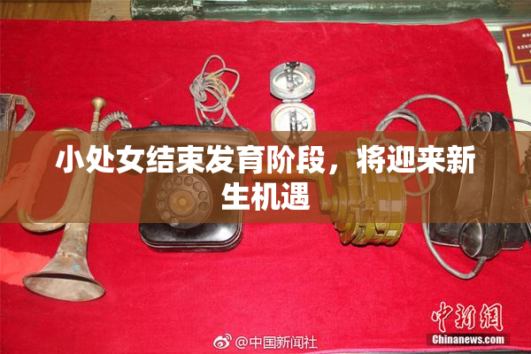小处女结束发育阶段，将迎来新生机遇