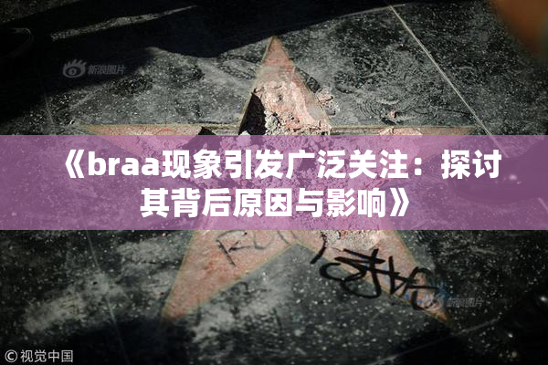 《braa现象引发广泛关注：探讨其背后原因与影响》