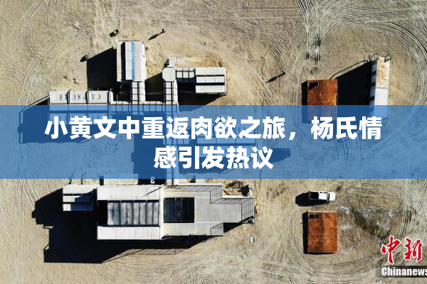 小黄文中重返肉欲之旅，杨氏情感引发热议