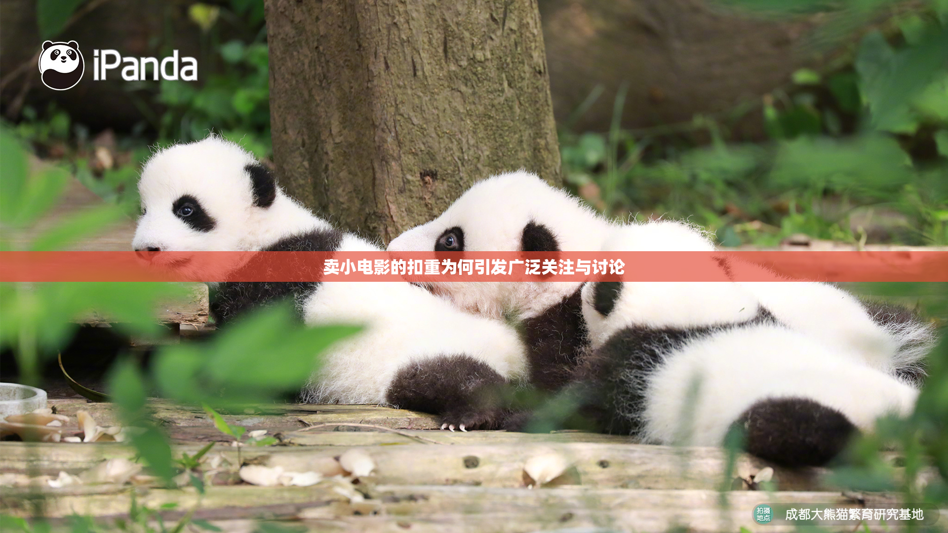 卖小电影的扣重为何引发广泛关注与讨论