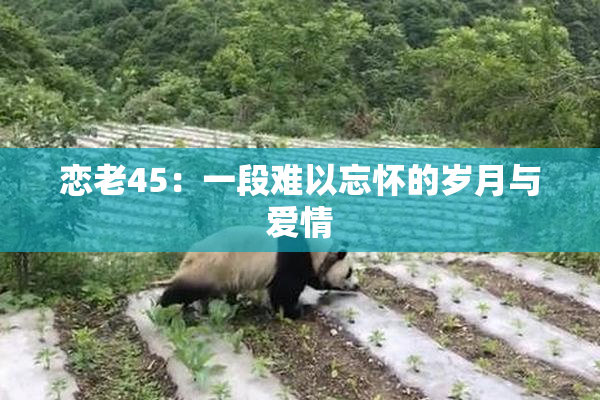 恋老45：一段难以忘怀的岁月与爱情