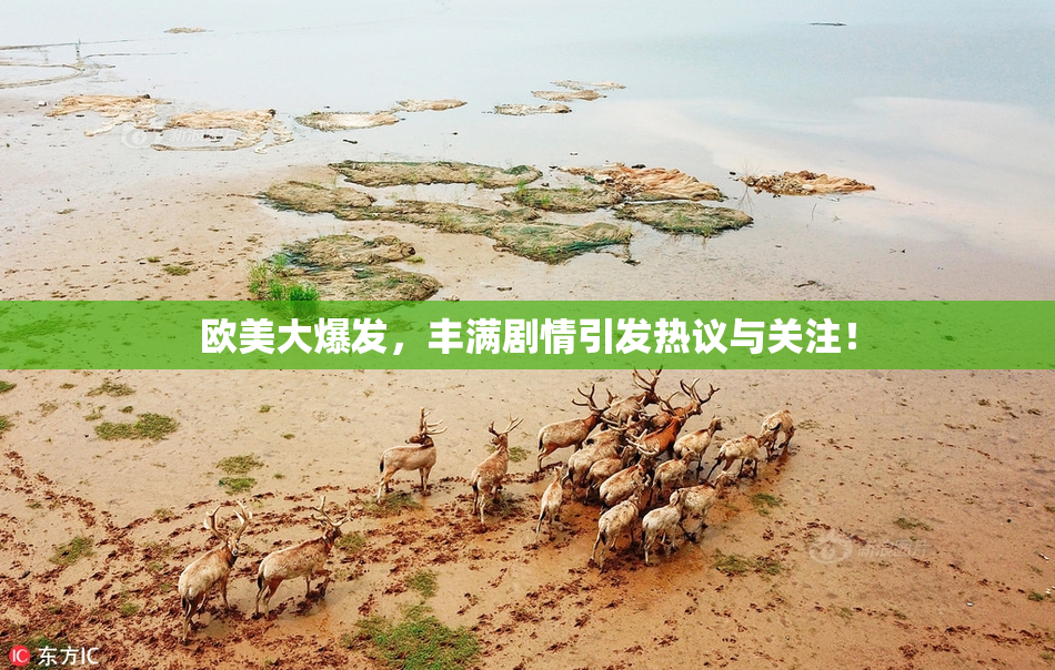 欧美大爆发，丰满剧情引发热议与关注！