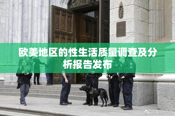 欧美地区的性生活质量调查及分析报告发布