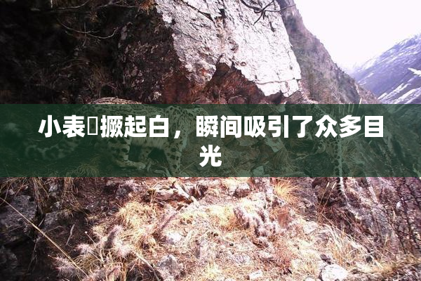 小表妺撅起白，瞬间吸引了众多目光