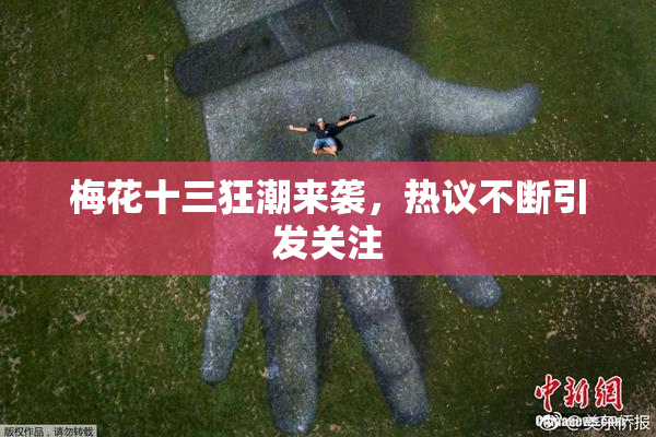 梅花十三狂潮来袭，热议不断引发关注
