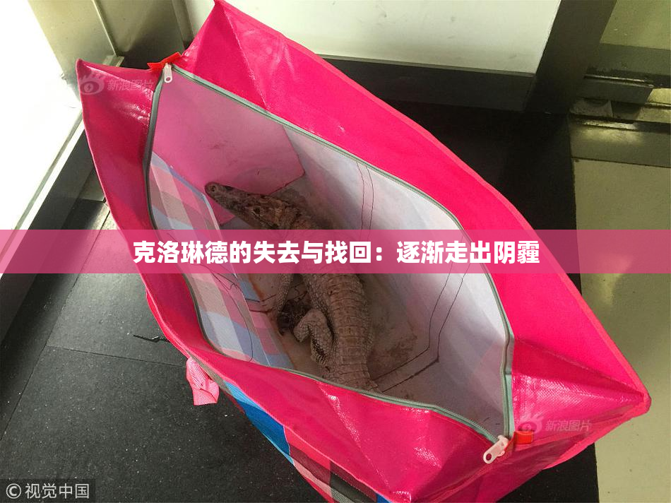克洛琳德的失去与找回：逐渐走出阴霾