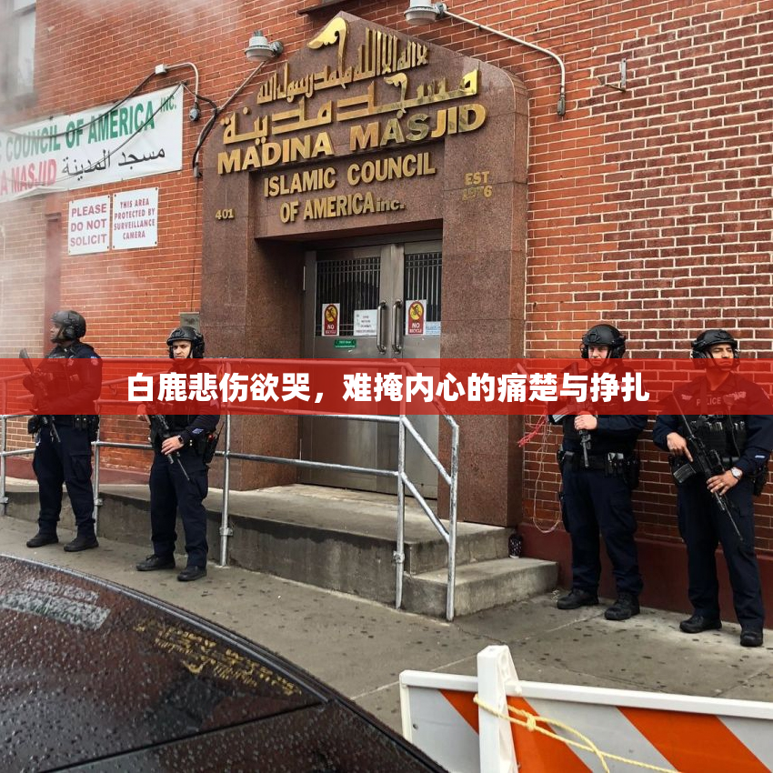 白鹿悲伤欲哭，难掩内心的痛楚与挣扎