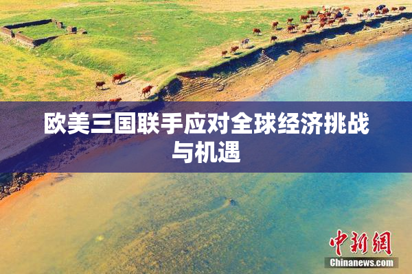 欧美三国联手应对全球经济挑战与机遇
