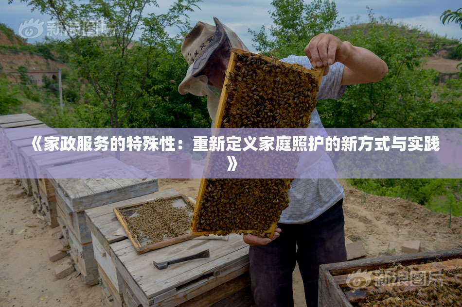 《家政服务的特殊性：重新定义家庭照护的新方式与实践》