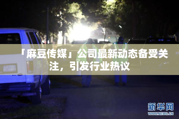 「麻豆传媒」公司最新动态备受关注，引发行业热议