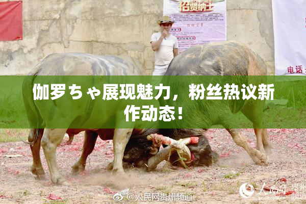 伽罗ちゃ展现魅力，粉丝热议新作动态！