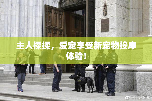 主人揉揉，爱宠享受新宠物按摩体验！