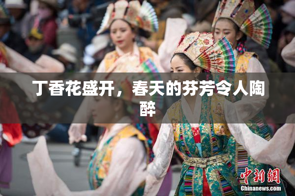 丁香花盛开，春天的芬芳令人陶醉