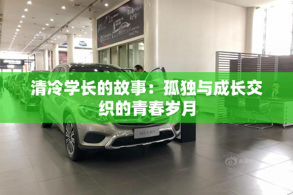 清冷学长的故事：孤独与成长交织的青春岁月