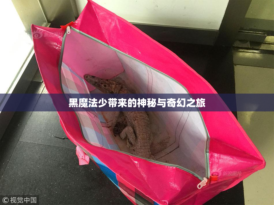黑魔法少带来的神秘与奇幻之旅