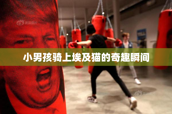 小男孩骑上埃及猫的奇趣瞬间