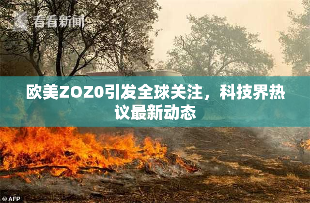 欧美ZOZ0引发全球关注，科技界热议最新动态