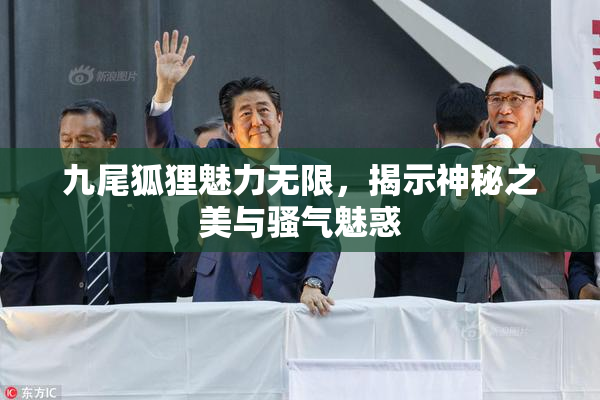 九尾狐狸魅力无限，揭示神秘之美与骚气魅惑