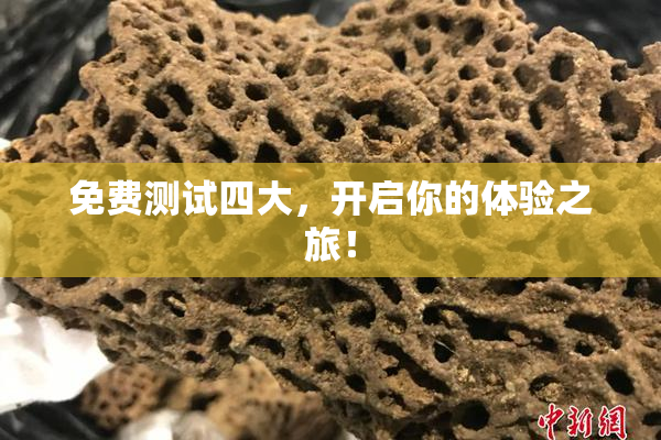 免费测试四大，开启你的体验之旅！